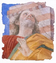 Cabeça do Apostolo, por volta de 1480 (fresco)