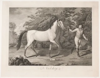 Hesten "Hesten Nishty"