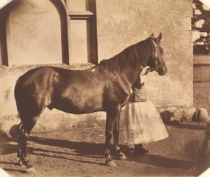 Sultão, meados da década de 1850.