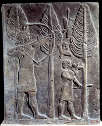 Cena de caça às aves. Baixo relevo em albastro do Palácio de Sargão II ou Sharroukin, Rei da Assíria até Khorsabad (Khunsabad) (Mesopotâmia), Iraque. 722-705 AC. Paris. Museu do Louvre