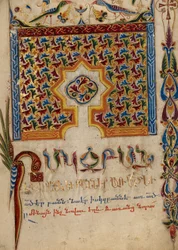 Página do incipit decorado