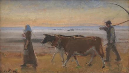 Vacas sendo conduzidas pela charneca