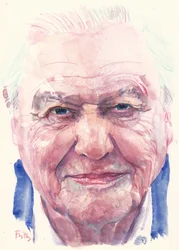 Sir David Attenborough (aguarela)