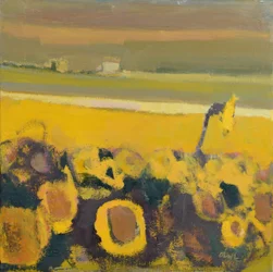 Girassóis perto de Puymirol, 2017 (óleo sobre linho)