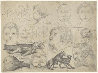 Folha de estudo com exemplos de desenhos: figuras, animais Exemplos de desenho (título da série)