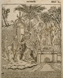 Adão e Eva, ilustração do &39;Liber Chronicarum&39; de Hartmann Schedel (1440-1514), publicada em Nuremberg, 1493