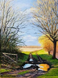 Poça no caminho (óleo sobre tela)