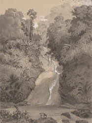 Cascata em St. Anns