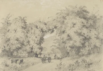 Estrada para St. Ann