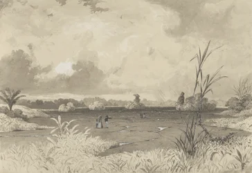O Lago Pitch