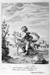 Arion salvo por um golfinho, 1655