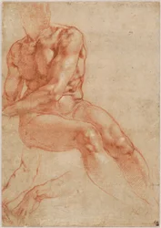 Nu masculino jovem sentado e dois estudos de braços (frente), c. 1510-11