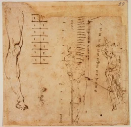 Estudos de figuras