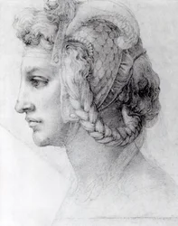 Cabeça Ideal de Mulher, c.1525-28 (giz preto sobre papel)