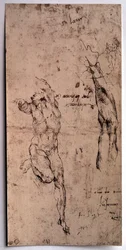 Homem nu, estudo do braço Desenho de Michelangelo Buonarroti dit Michelangelo (Michelangelo ou Michel Ange