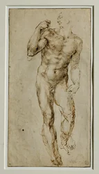 Nu masculino, vista frontal, cerca de 1502-1506 ...