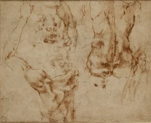 Estudos de nus, c1490-1560