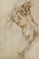 Torso masculino nu, início do século XVI