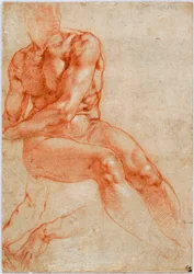 Nu masculino jovem sentado e dois estudos de braços, c. 1510-1511