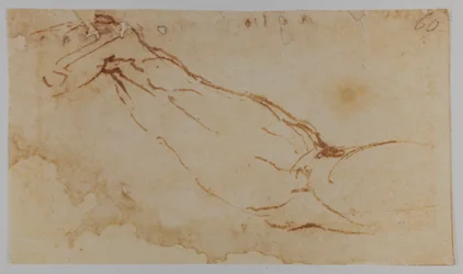 Esboço do braço direito de "Leda", 1528-1530 (desenho)