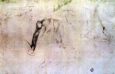 Esboço das pernas (carvão vegetal sobre papel)