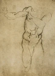Estude para um busto masculino, desenhando por Michelangelo. Casa Buonarroti, Florença