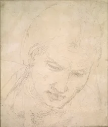 Estudo de uma cabeça, c1490-1560