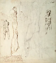 Estudo do Menino Jesus e Desenho Anatômico com Notas (giz preto e tinta marrom sobre papel) (verso)