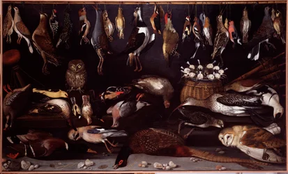 Natureza morta com aves (Bird) Pintura atribuída a Michelangelo Merisi dit Caravaggio (Caravaggio) (1571-1610) Roma Galleria Borghese