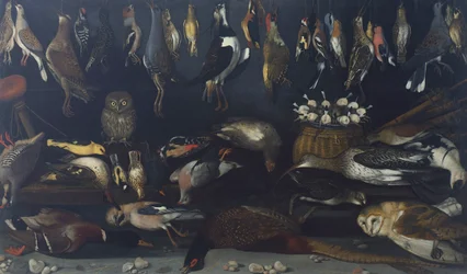 Natureza Morta com Aves, por Mestre da Natureza Morta de Hartford (óleo sobre tela)