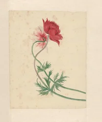Dois ramos cada um com uma flor