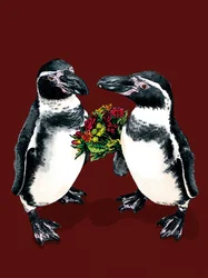 Pinguins de aniversário em Red Oxide, 2020