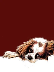 Meg, o spaniel, sobre óxido vermelho, 2020