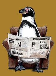 Pinguim de Reforma em Amarelo Dourado, 2020