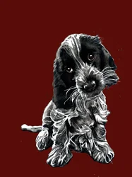 Rosie, o cocker spaniel, sobre óxido vermelho, 2020