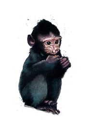 O bebê macaco em branco, 2020