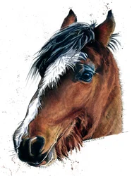 O Cavalo sobre Branco, 2020