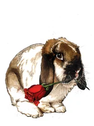O Coelhinho do Amor em Branco, 2020
