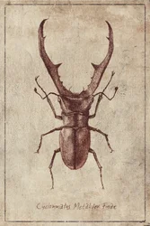 Ilustração antiga de um Fusca