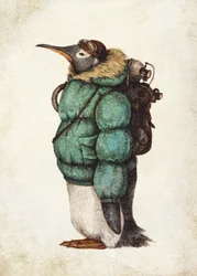 Pinguim Aventureiro