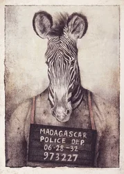 O Mistério da Foto Policial da Zebra
