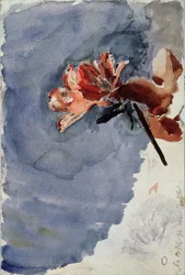 Azaléia vermelha, 1886-1887