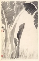 Bananeiras, 1788.