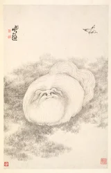 Gato e borboleta, 1788.