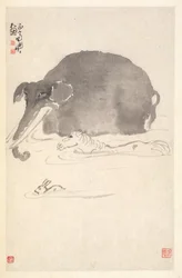 Elefante, Cavalo e Lebre