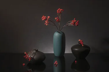 Elegante natureza-morta com bagas vermelhas