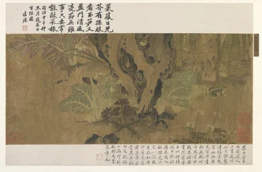 Bambu, sapo e insetos