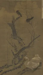 Mynahs, gansos e ameixa florescimento