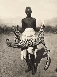 Construir um império na era fascista: indigeno exibindo um leopardo, 09/05/1936 (foto a p/b)