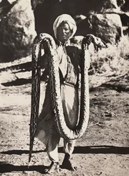 Construir um império na era fascista: indigeno com uma pitão, 09/05/1936 (foto a p/b)
